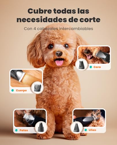 Miniatura 4 de Oneisall Cortapelos Silencioso Para Perros Y Gatos Con Luz Led, Para El Cuidado Del Pelo De Mascotas, Cortapelos Para Perros Recortador De Uñas Molinillo De Garras Azul, 4 En 1