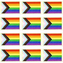 12pcs Rainbow Progress Flag Iron on Patches Pride Day Embroidered Sew Applique LGBT Repair Patch DIY Crafts for Clothing Jacket Jeans Pants Dress Backpack Hat Decorations