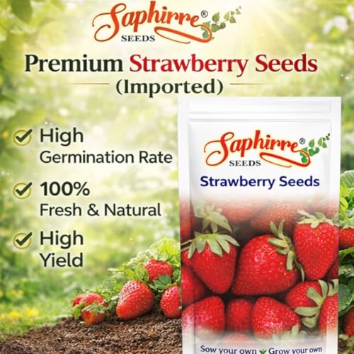 Image of Saphirre Seeds Strawberry Seeds | 100+ Seeds | High Germination | Easy to Grow Fruit Seeds for Home Gardening | Ideal for Pots, Balcony, Terrace & Grow Bags