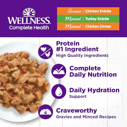 Image of Wellness Complete Health Gravy and Minced Variety Pack Adult Canned Wet Cat Food, Natural, Protein Rich, Grain Free, Chicken and Turkey Lovers, 3 oz, Pack of 24 Cans