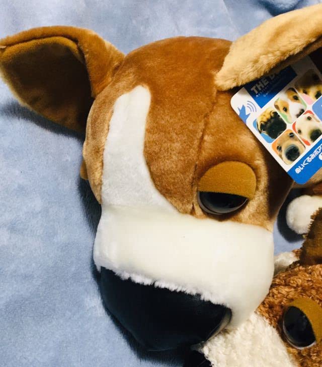 Amazon.co.jp: 【THE DOG】 ウェルシュ コーギー ぬいぐるみ3種セット