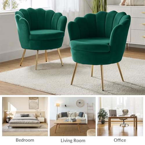 Image of HULALA HOME Modern Velvet Accent Chairs Set of 2 with Shell Shaped Back, Cute Living Room Bedroom Armchairs Sofa Chairs with Gold Legs, Comfy Upholstered Vanity Chairs for Makeup Room, Green