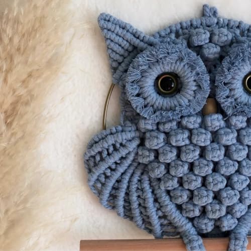 Image of tms Bohemian Owl Macrame Wall Hanging - 12 x 23 Inch - Handcrafted Boho Home Decor with Natural Elements - Boho Chic Accent for Home, Office, or Living Room (ICE BLUE)