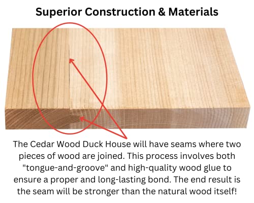Jcs Wildlife Cedar Wood Duck Nesting Box With Poly Lumber Roof - Mount In Or At The Water's Edge To Attract Wood Ducks Nearby - Equipped With Clean Out Door And Drainage Holes (Brown) #TOP7