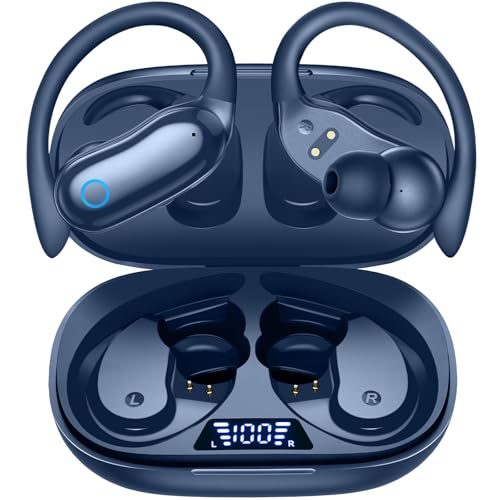 Image of GNMN 11