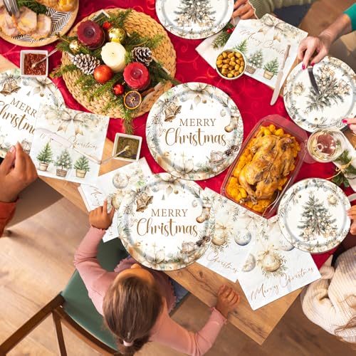 Christmas Paper Plates and Napkins, Vintage Plates Napkins Disposable Holiday Party Supplies for Christmas Party Decorations, Serve 20 – Image 6
