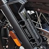 Resin Bike Autocollant Moto Compatibles avec Harley Davidson Pan America 1250 2020 2026. Protections Garde Boue Contre Les Chocs et Les Éraflures. Autocollant 3D Résinés Made in Italy