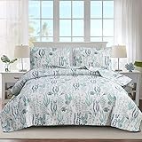 Picture of Coastal Ocean Quilt Set - Queen Size Beach Bedspread Bedding - Lightweight Reversible Quilt - Seahorse Seaweed Home Decor