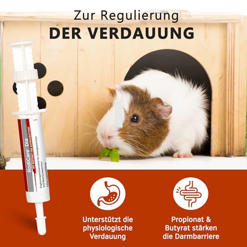 Alfavet RodiCare Dia, Ergänzungsfuttermittel für Zwergkaninchen und Meerschweinchen, bei Durchfall, mit Natriumbutyrat, zuckerfrei, 3 Injektoren à 12 ml