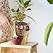 Midogaigai Abstract Face Planters Pots Head,Unique Head Planter for Indoor Plants,Funny Face Flower Pot,Colorful Plant Pots for Outdoor Garden Decor and Home Art Decoration(Classic)