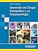 Anestesia en cirugia ortopedica y en traumatologia / Anesthesia at Orthopedic and Traumatology Surgery (Spanish Edition)