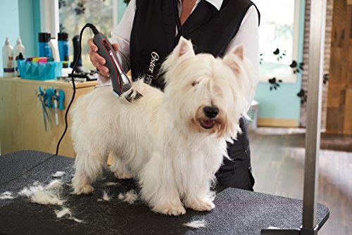 Oster A6 Cool Comfort Heavy Duty Pet Grooming Clippers With Detachable Cryogenx #10 Blade, 3 Speed, Aqua Sky (078006-000-000),Black,1.75 X 1.88 X 6.90 Inches #TOP5