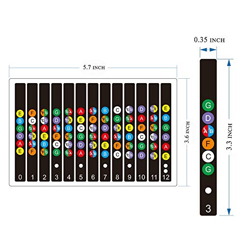 Koldot Guitar Fretboard Stickers Fret Stickers For Acoustic Guitar Bass Guitar  Note Stickers Chord Stickers Fret Map Sticker For Kids Beginner Learning 2Pc #TOP1