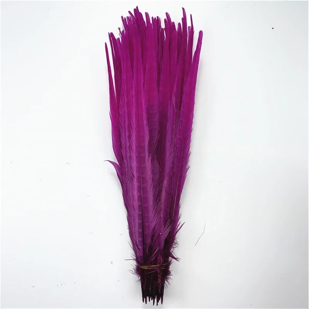 Natural Pheasant Feathers, Natural Ringneck Pheasant Craft Feathers, Multicolor, 40-45 Centimeters, Pack of 100