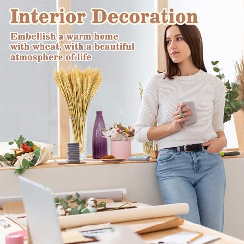 Hastes de trigo secas de 33 cm – 100 hastes naturais de grama de trigo para decoração de grama de tr