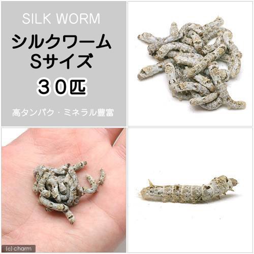 シルクワーム　カイコのご飯 100g そのまま使える シルクワーム 蚕 カイコのご飯 100g そのまま使える｜Yahoo