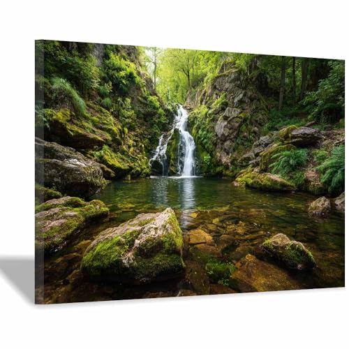 Toile Murale Nature Cascade Forestière Isolée Décoration Salon