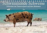 Schwimmende Schweine (Tischkalender 2019 DIN A5 quer): Glückliche Schweine im Dauerurlaub auf den Bahamas (Geburtstagskalender, 14 Seiten ) (CALVENDO Tiere) - Elisabeth Stanzer