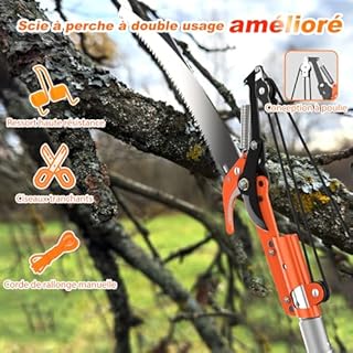 LAANPOLE 6m Scie, Ébrancheur sur Perche Telescopique avec Perche de Extension 1,5-6m, Ébrancheur Manuel pour Jardin
