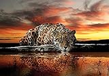 Forwall Fototapete Leopard Afrika Safari Orange Moderne Wohnzimmer Schlafzimmer Vlies Tapete Wandtapete UV-Beständig Hohe Auflösung Montagefertig (126, VEL (152x104 cm) 1 Bahn)