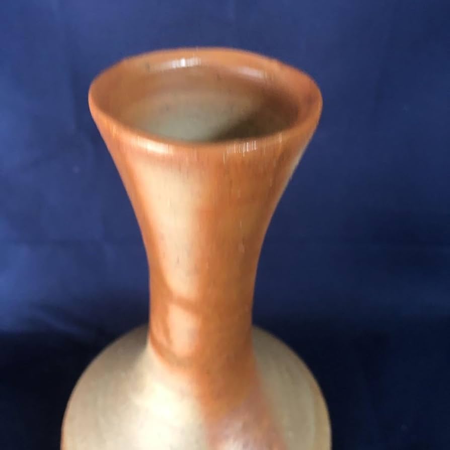 備前焼 花瓶 Amazon.co.jp: 備前焼 花入 高さ約21.5センチ 日本工芸会 木村隆明造