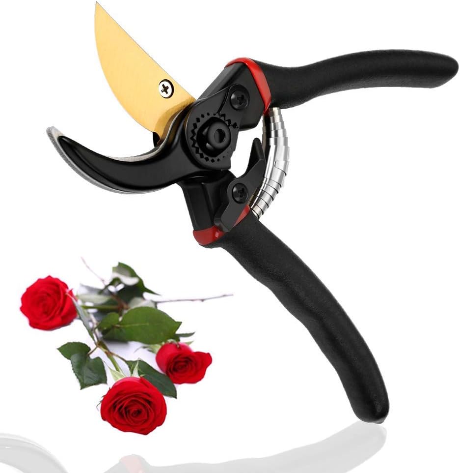 Geohee ELenest ilapur Pruning Shears 8 inch Bypass Rose