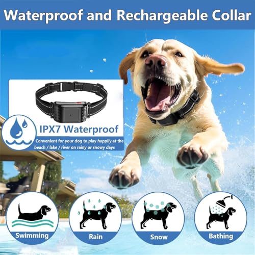 Wireless Dog Fence Setup and Components