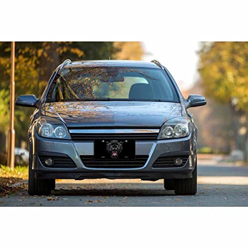 Pehede License Plate Cover Black Panther Roaring Aluminum License Plate For Front Of Car 6X12 Inch #TOP3