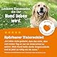 Zesty Paws Beruhigende Chews für Hunde Entspannungs- & Anti-Stress-Mittel für Hunde | Ashwagandha, Grüner Tee und L-Tryptophan | Für alle Rassen mit Putengeschmack |90 STK