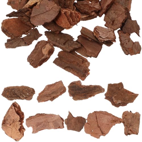 Material para maquetas y manualidades creativas con vegetación natural en bolsa de 50g