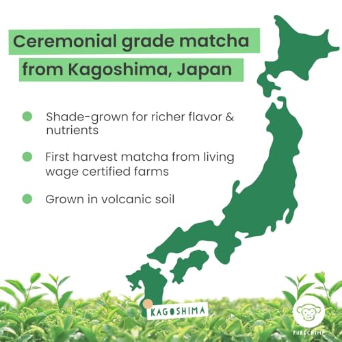 PureChimp Matcha Pulver Ceremonial Grade 50 g. 100% reines Tee Pulver aus Schattenanbau für Latte, Aufgüsse & Rezepte. Recycelbares Einmachglas. Reich an Antioxidantien.