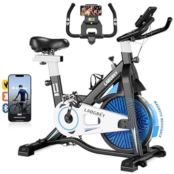 LABGREY Cyclette Professionale, Bicicletta ad attrito Indoor da Camera con Schermo LCD e Portabicchieri, Volano 15kg, per Fitness ed Esercizio a Casa (Nero - Resistenza Magnetica)