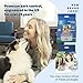 PetSafe Indoor Ultrasonic Dog Bark Control - No Collar Needed - Up to 25 ft Range - Anti-Bark Pet Training System - Automatic with Manual Trainer Button
