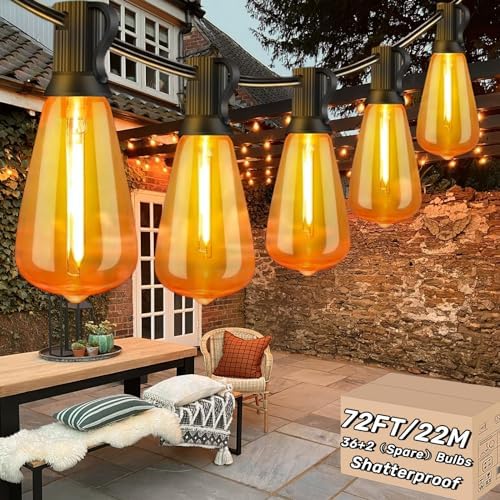 Outdoor String Lights 65.5ft Garden Festoon Light Mains Powered with 30+2 Shatterproof G40 LED