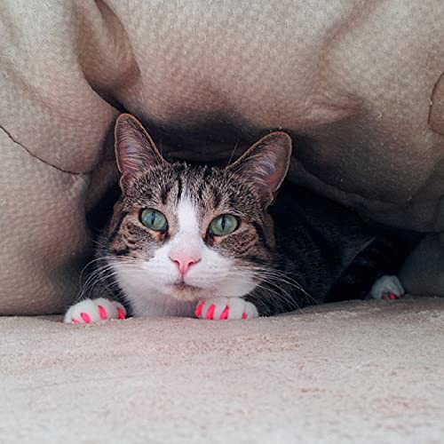 Purrdy Paws Soft Nail Caps For Cat Claws Purple Holographic Glitter Medium #TOP6