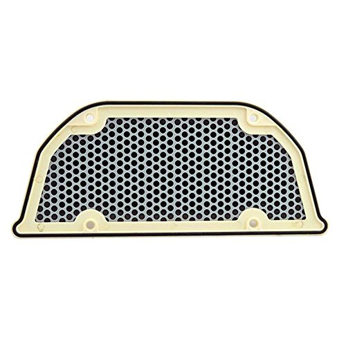 Filtro Aria Per Cassa Filtro Airbox Originale Kawasaki Zx1000B Tomcat Ninja