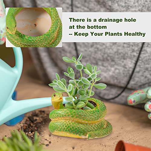 4.3 In Snake Shaped Succulent Plant Pots With Drainage, Unique Novelty Small Resin Flower Planter Indoor, Creative Cool Pots Spring Decoration For Home Desktop, 2 Pcs #TOP1