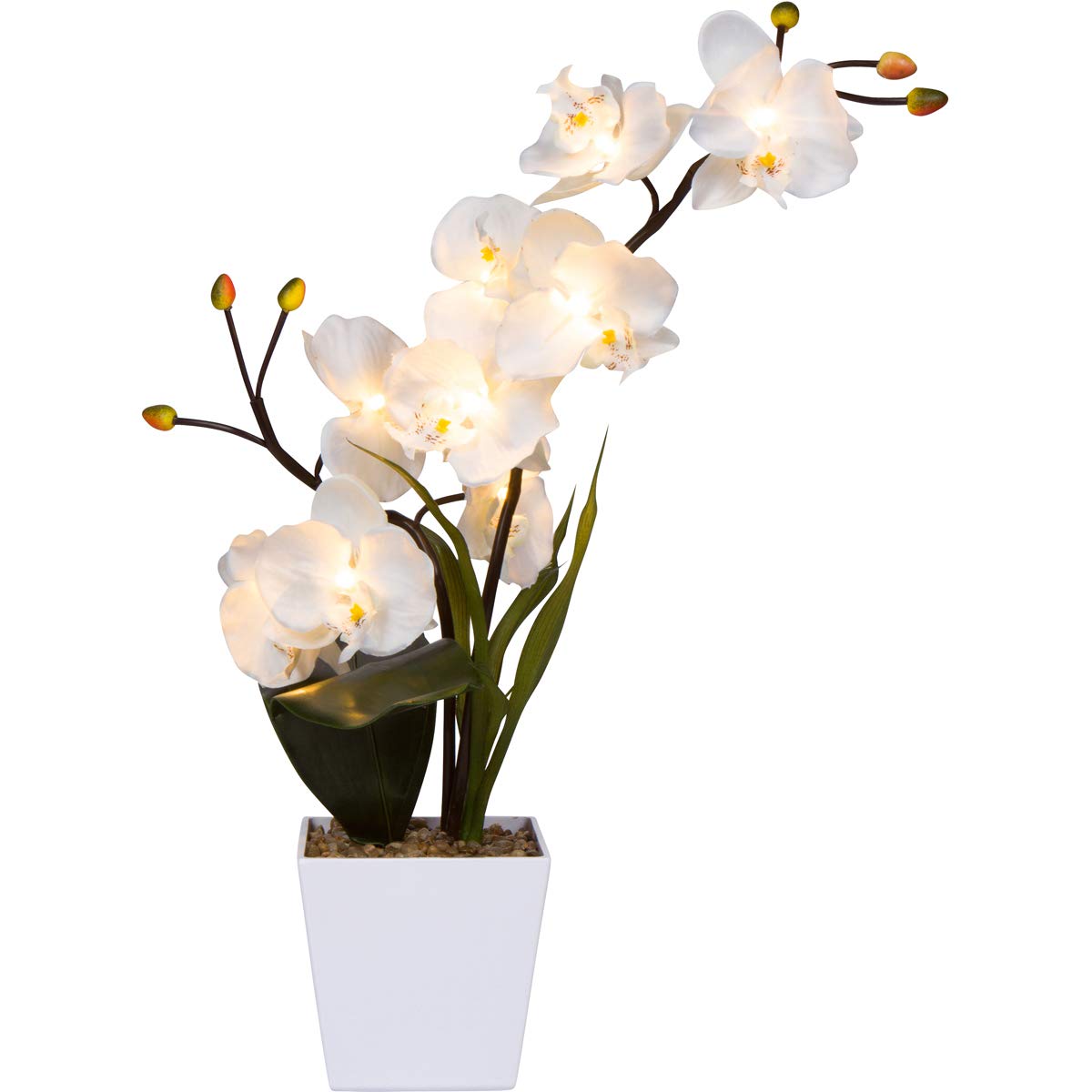 Plants In Artificial Light Decor For You