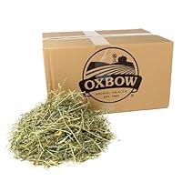Oxbow Animal Health Western Timothy Hay - All Natural Hay for Rabbits ...