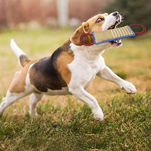 ZSWQ Manicotto per Cani,Dummy per Cani