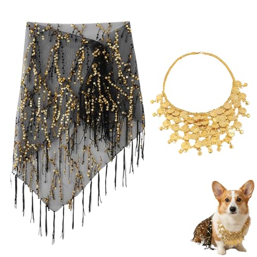 Disfraz para perro 2 piezas con collar dorado y chal negro