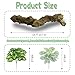Apatal Reptile Cork Bark with Reptile Climbing Decor Thick Wood Branches Snake Habitat Decorations Terrarium Wooden Tree Trunk Ornament