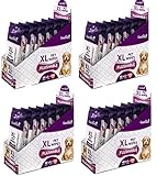 Cooshpets Premium Formulations XL Flushable Plant-Based, Earth-Friendly Pet Wipes (Bulk Buy - 1152 Wipes (24 Packs of 48 Ct))