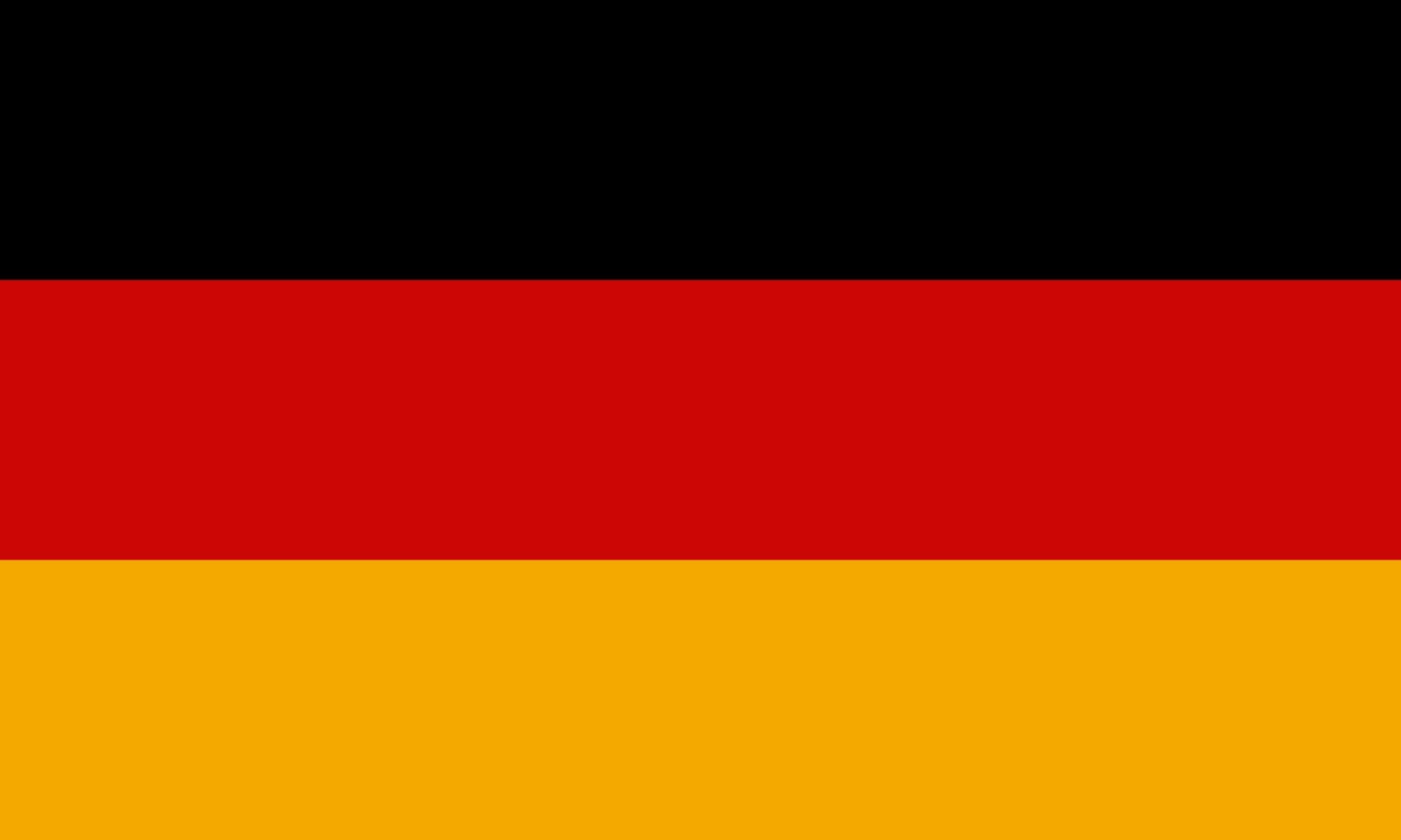 Drapeau Germany 1990–1999 grand format pour habiller un grand mur