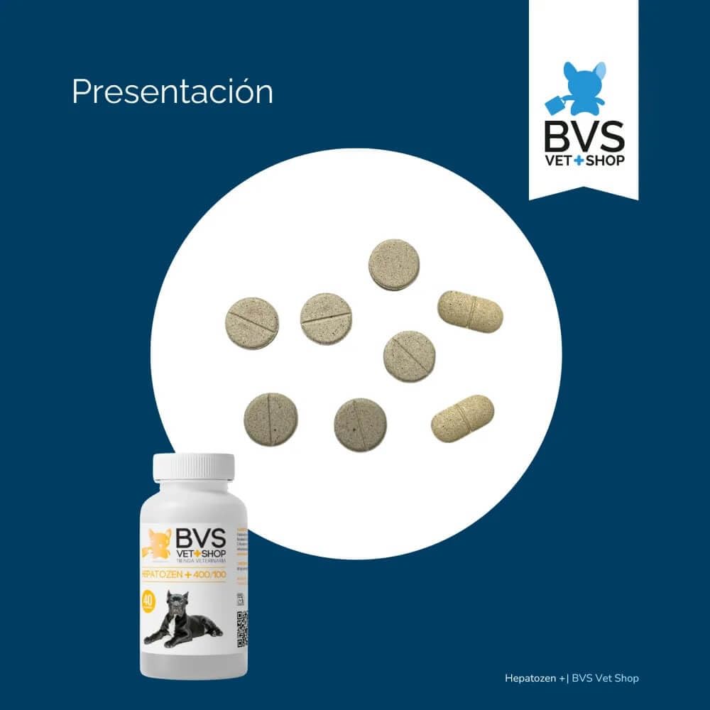 BVS Vet Shop | Hepatozen Plus 40 Comprimidos para Perros y Gatos | Promueve la Salud hepática y la regeneración del hígado de tu Mascota | 400/100 - Razas Grandes