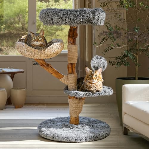 Árbol para Gatos de Madera Maciza Sopapets 41.3" Gris