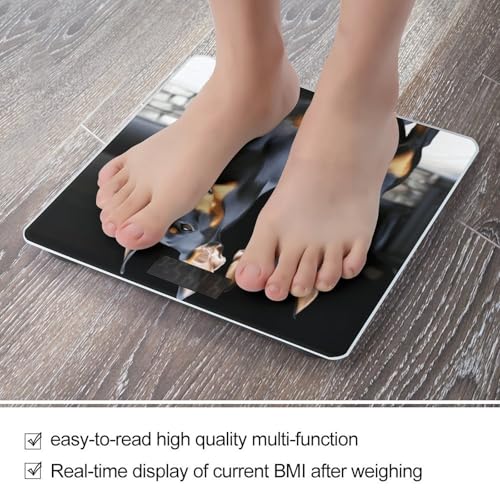 Báscula digital para baño con vidrio templado y pantalla LCD miniatura 5