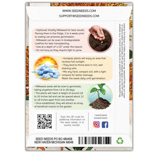 Seed Needs Orange Butterfly Milkweed Seeds for Planting - Heirloom & Untreated - Grow a Butterfly Garden to Attract Monarch Butterflies & Pollinators (2 Packs) - Thumbnail 2