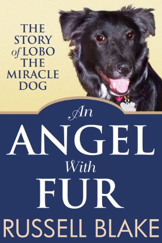 An Angel With Fur