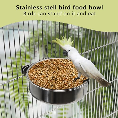 Dvhey STEELCUP 2 Pcs Small Bird Feeding Dish Cups,Parrot Food Bowl Cage With Clamp Holder Stainless Steel,Birdcage Coop Water Feeder thumb #4